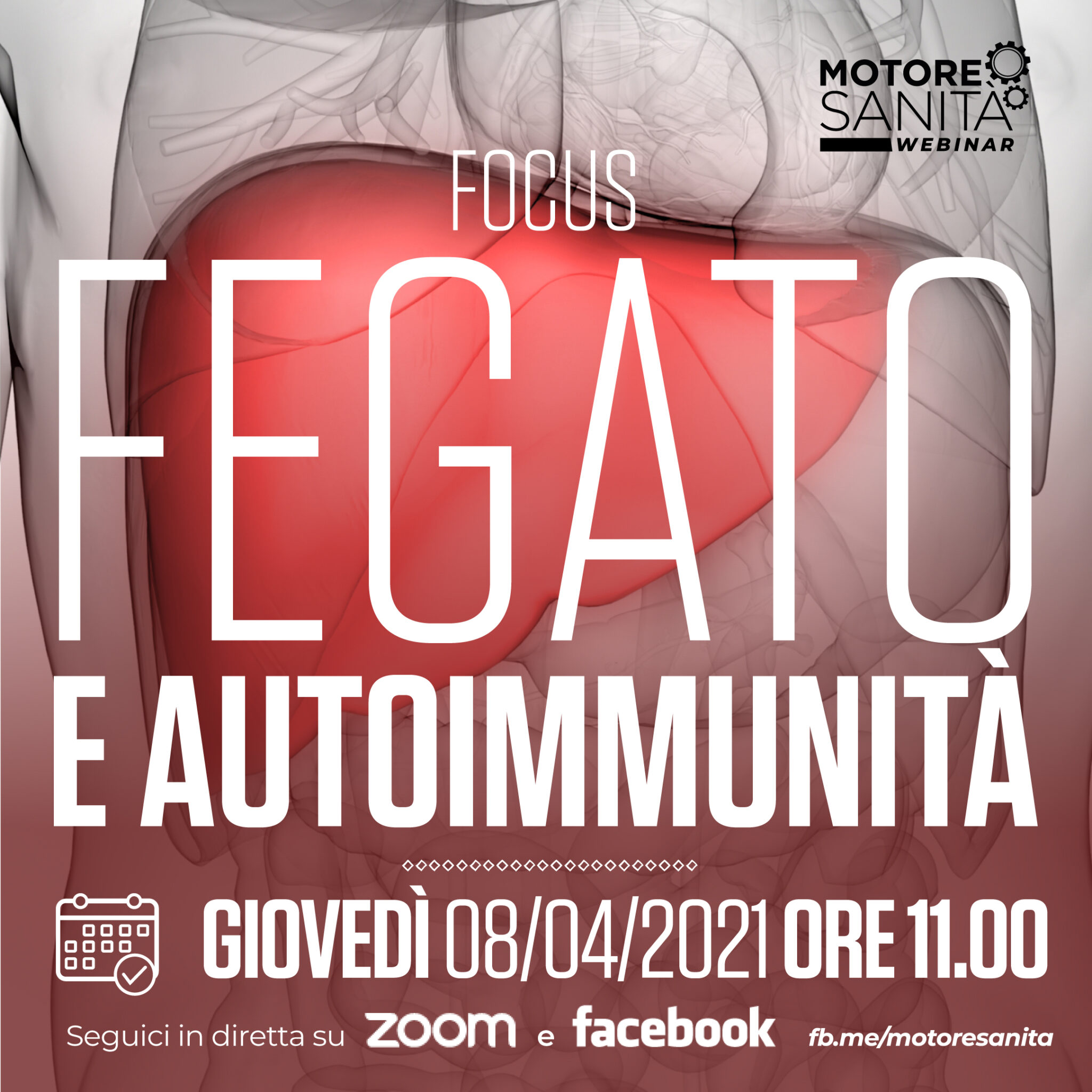 Fegato e autoimmunità