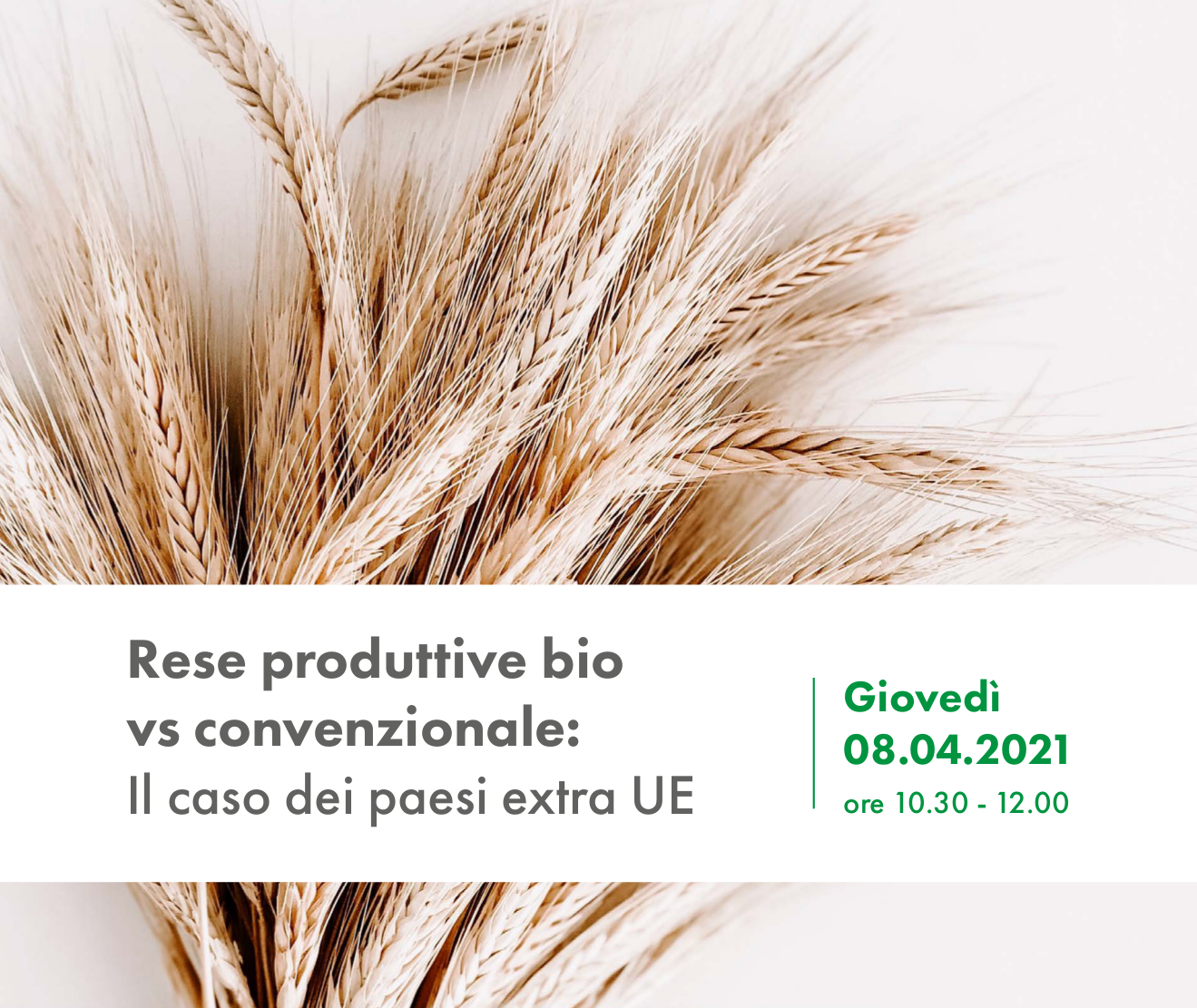 Rese produttive bio vs convenzionale: Il caso dei paesi extra UE