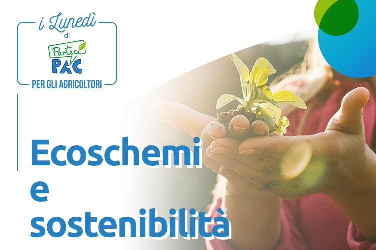 Ecoschemi e sostenibilità