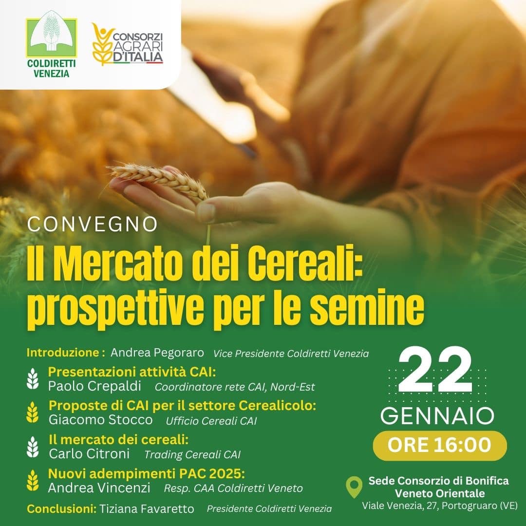 Mercato dei Cereali: Prospettive per le Semine