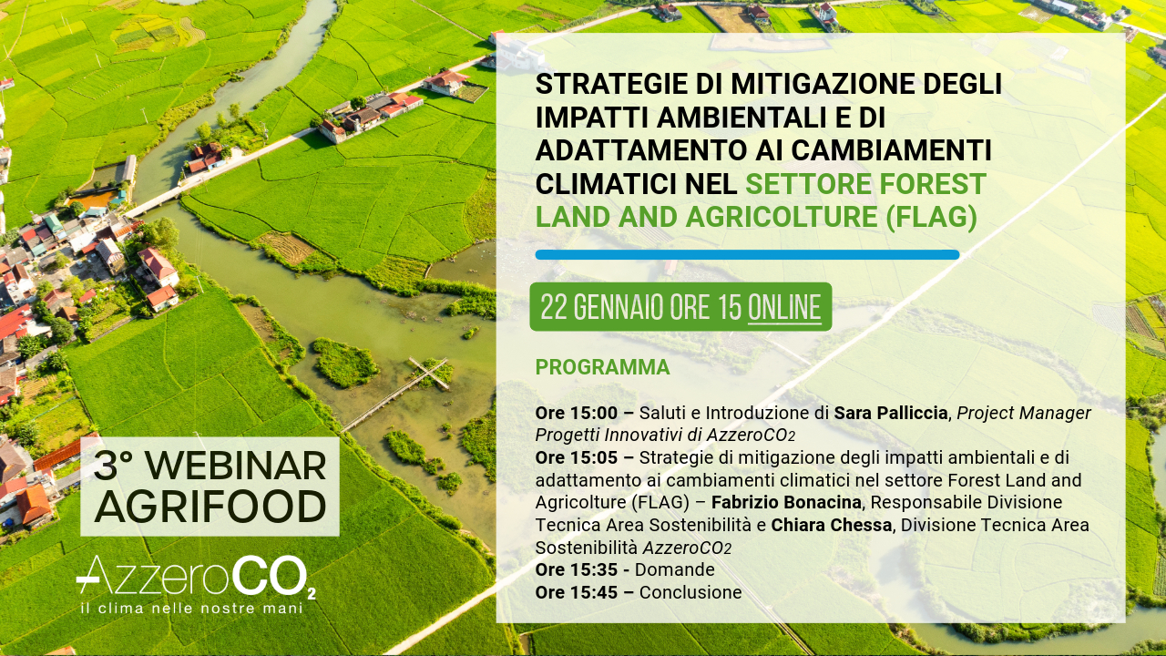 Strategie di mitigazione degli impatti ambientali e di adattamento ai cambiamenti climatici nel settore Forest Land and Agricolture (FLAG)