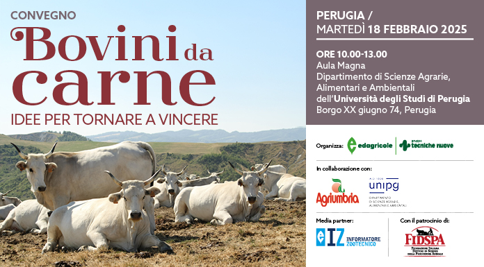 Bovini da carne. Idee per tornare a vincere