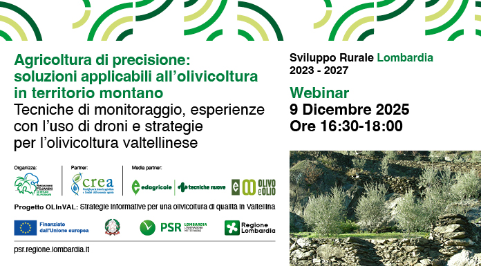 Agricoltura di precisione: soluzioni applicabili all’olivicoltura in territorio montano
