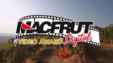 Macfrut 2027: una lunga marcia tra Europa e Africa