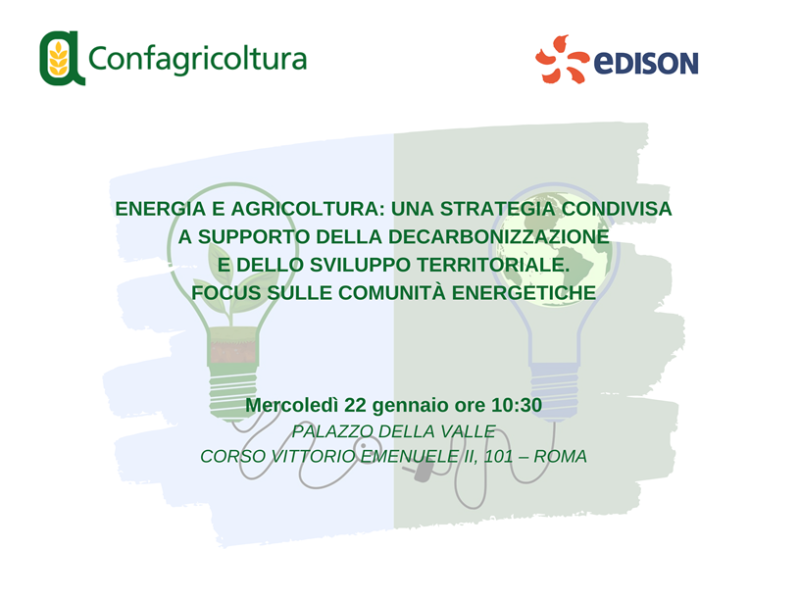 Energia e agricoltura: una strategia condivisa a supporto della decarbonizzazione e dello sviluppo territoriale