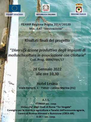 Diversificazione produttiva degli impianti di molluschicoltura in associazione con Oloturie