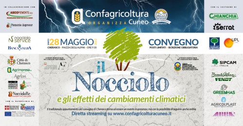 Il nocciolo e gli effetti dei cambiamenti climatici