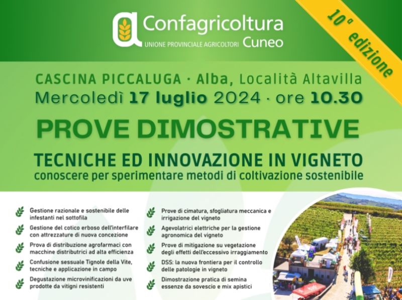 Prove dimostrative. Tecnica ed innovazione in vigneto: conoscere per sperimentare metodi di coltivazione sostenibile
