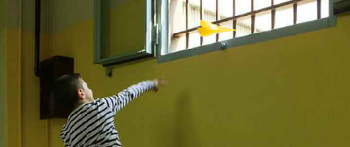 Costruire ecosistemi olistici per i bambini con un genitore in carcere - Tra ONG, carceri, scuole, media e società