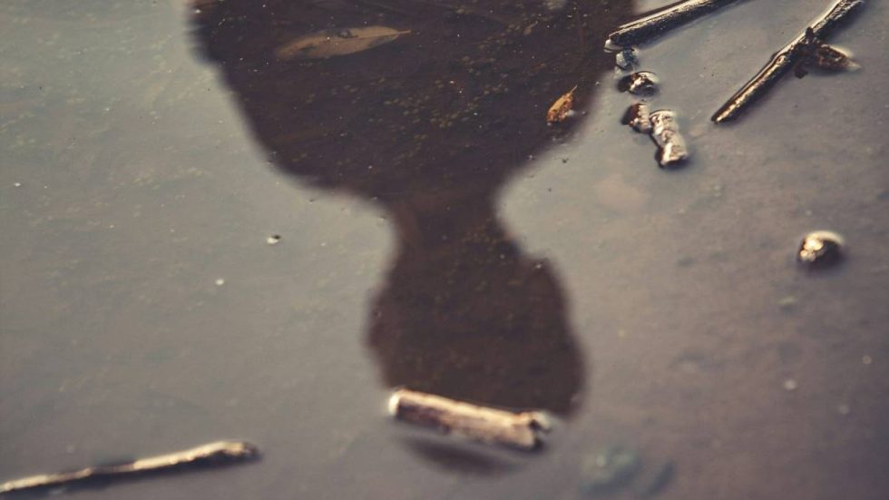 La comunità ecclesiale di fronte agli abusi: percorsi e riflessioni per una cultura della prevenzione