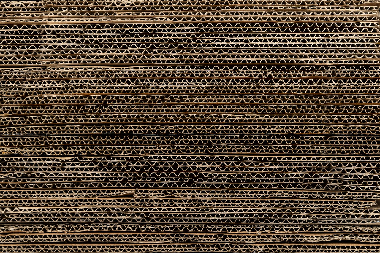 Filiera a confronto: l'Italia dell'imballaggio verso la nuova normativa europea