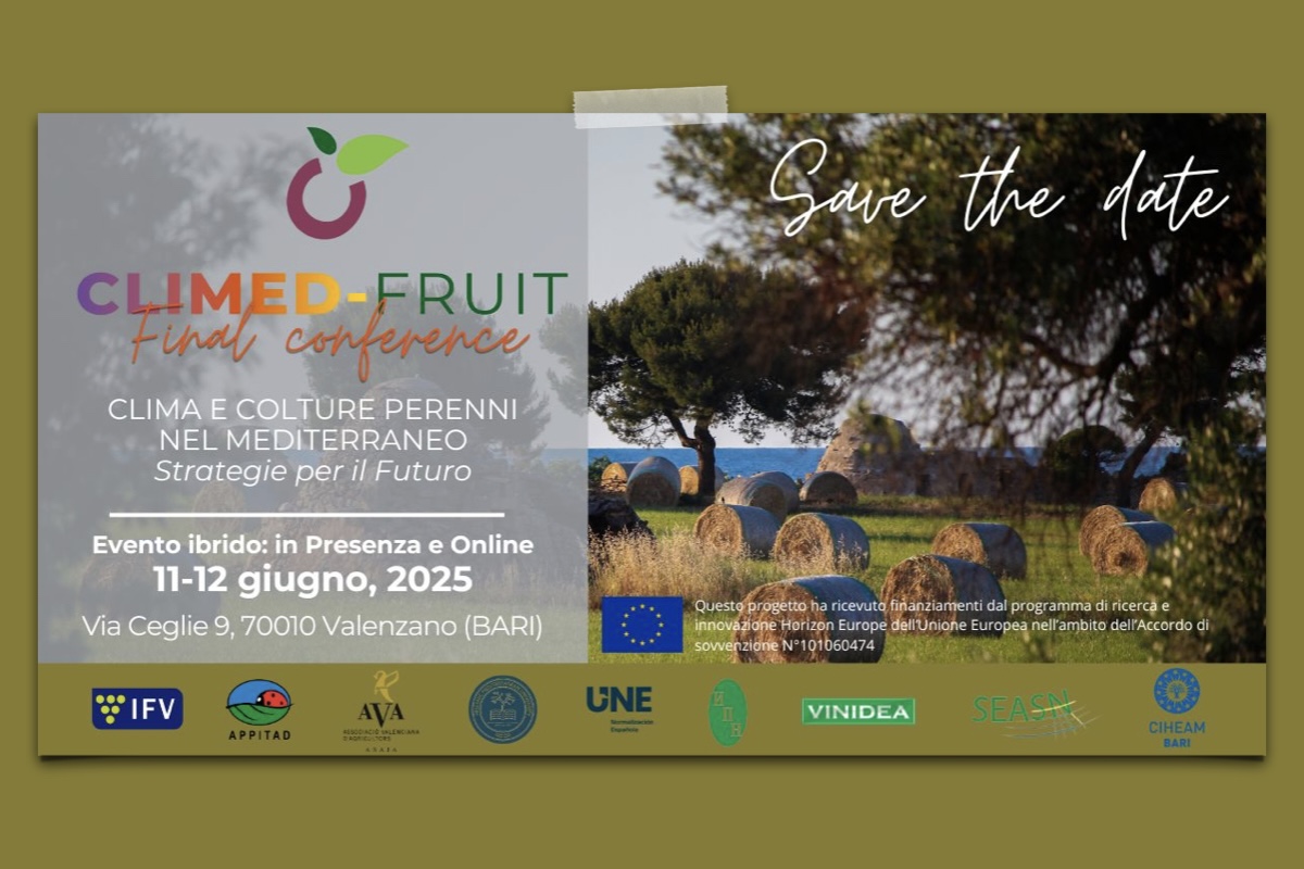 Clima e colture perenni nel Mediterraneo - Verso strategie per il futuro