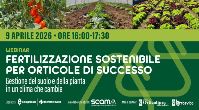 Fertilizzazione sostenibile per orticole di successo