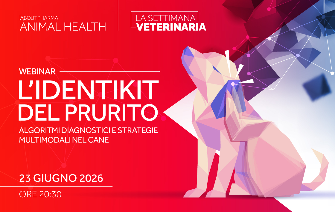 L'identikit del prurito