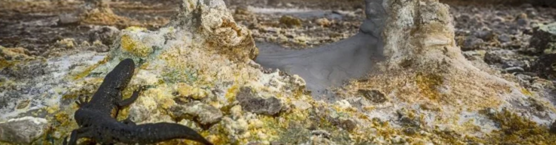 La geotermia per la sicurezza ed indipendenza energetica europea