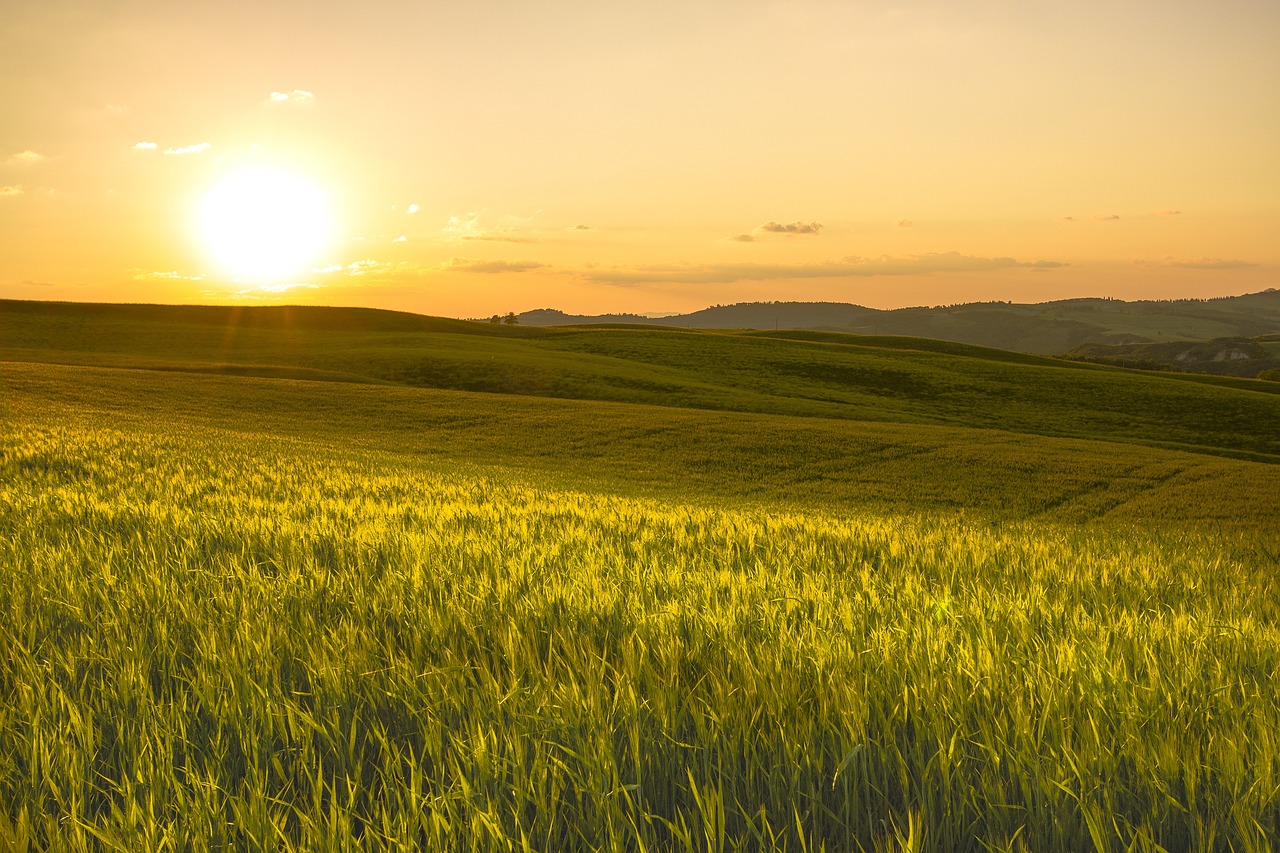 I valori del cibo: piccoli gesti per una rivoluzione alimentare che guarda al futuro