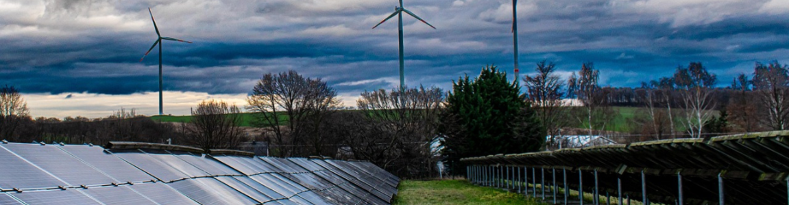 Governare la transizione ecologica: scienza, economia e diritto