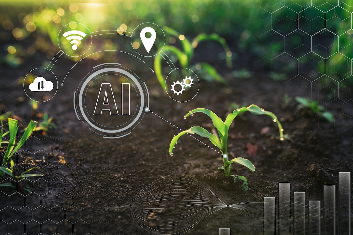 Evoluzione digitale e intelligenza artificiale (Ai) in agricoltura