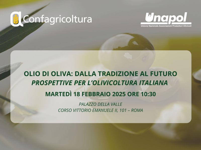 Olio di Oliva: Dalla Tradizione al Futuro – Prospettive per l’Olivicoltura Italiana