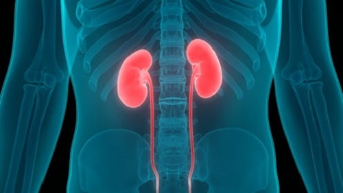 Novità in tema di calcolosi renale: indicazioni dietetico farmacologiche e di chirurgia mini invasiva