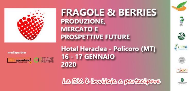 Fragole & berries: produzione, mercato e prospettive future