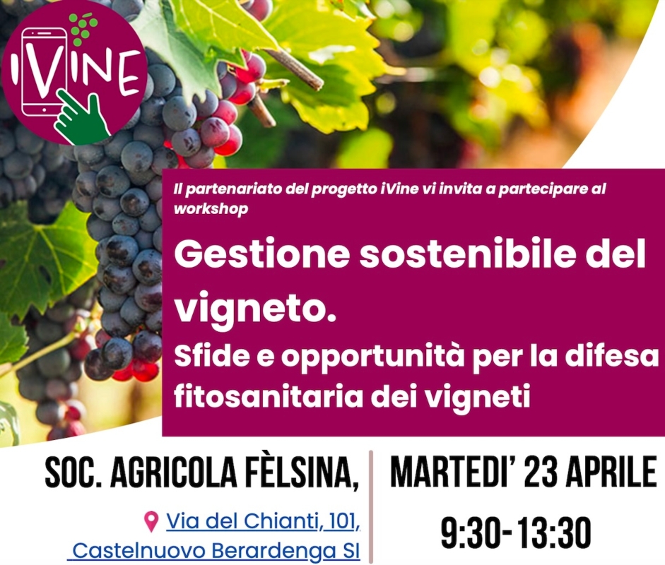 Gestione sostenibile del vigneto. Sfide e opportunità per la difesa fitosanitaria dei vigneti