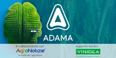 Difesa dei cereali: strategie intelligenti per la protezione più persistente e performance eccellenti