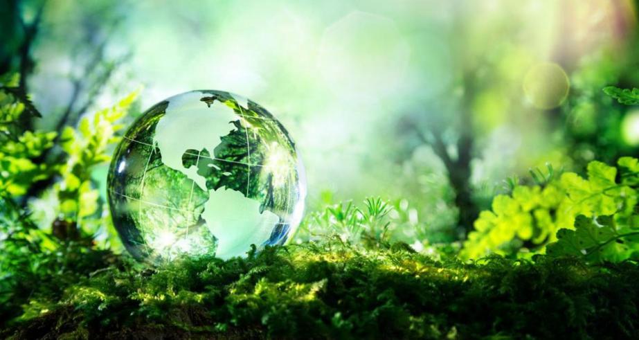 Green Deal Watch numero 16: un piano per il rilancio dell' economia UE