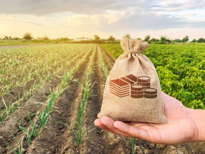 Fiscalità, lavoro, impresa, Legge di Bilancio 2022 e settore agricolo